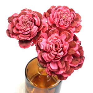 칼라 꽃(3송이)-핑크 