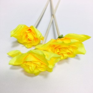 옐로우릴리 꽃